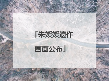 朱媛媛遗作画面公布
