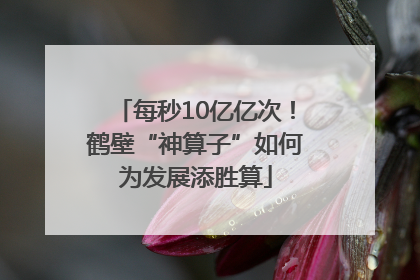 每秒10亿亿次！鹤壁“神算子”如何为发展添胜算