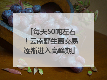 每天50吨左右！云南野生菌交易逐渐进入高峰期