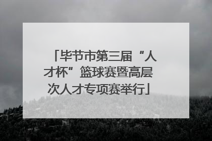 毕节市第三届“人才杯”篮球赛暨高层次人才专项赛举行