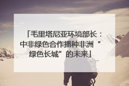 毛里塔尼亚环境部长：中非绿色合作播种非洲“绿色长城”的未来