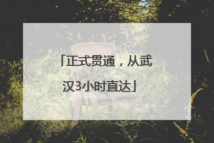 正式贯通，从武汉3小时直达