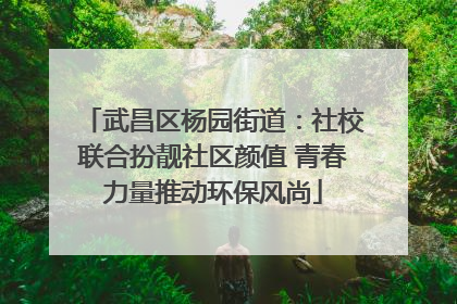 武昌区杨园街道：社校联合扮靓社区颜值 青春力量推动环保风尚