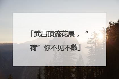 武昌顶流花展，“荷”你不见不散