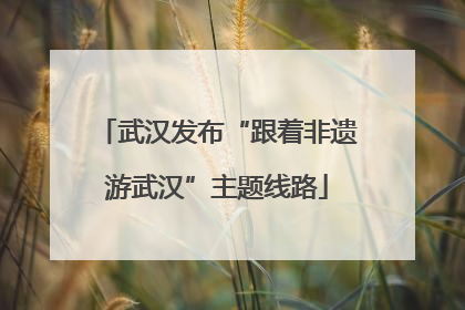 武汉发布“跟着非遗游武汉”主题线路