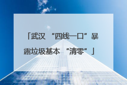 武汉 “四线一口”暴露垃圾基本 “清零”