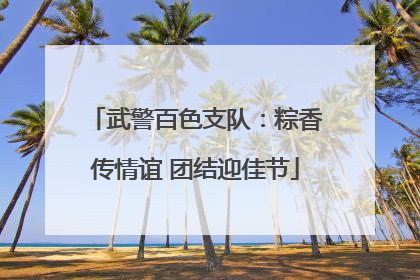 武警百色支队：粽香传情谊 团结迎佳节