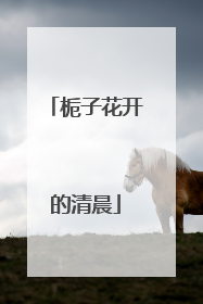 栀子花开的清晨