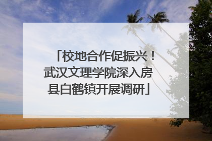 校地合作促振兴！武汉文理学院深入房县白鹤镇开展调研