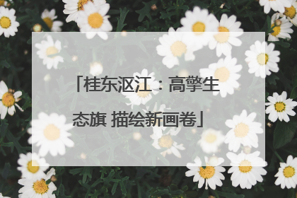 桂东沤江：高擎生态旗 描绘新画卷