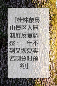 桂林象鼻山景区入园制度反复调整：一年不到又恢复实名制分时预约
