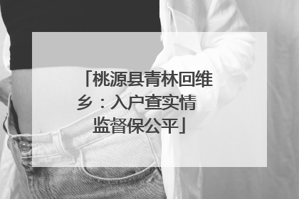 桃源县青林回维乡：入户查实情 监督保公平