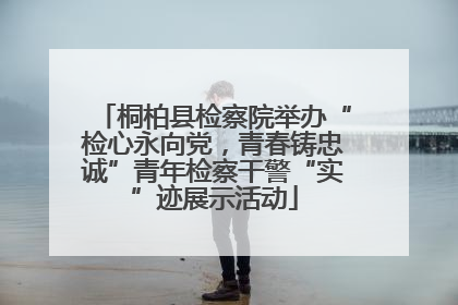 桐柏县检察院举办“检心永向党，青春铸忠诚”青年检察干警“实”迹展示活动