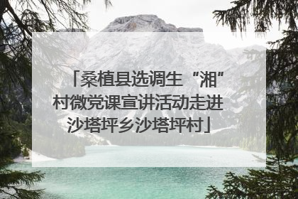 桑植县选调生“湘”村微党课宣讲活动走进沙塔坪乡沙塔坪村