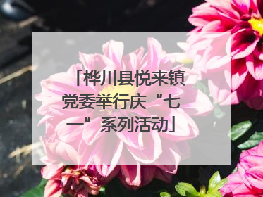 桦川县悦来镇党委举行庆“七一”系列活动