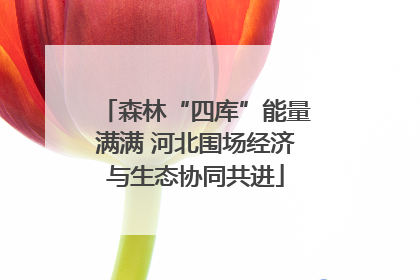 森林“四库”能量满满 河北围场经济与生态协同共进