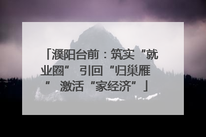濮阳台前：筑实“就业圈” 引回“归巢雁” 激活“家经济”