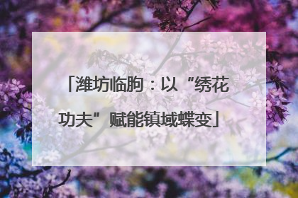 潍坊临朐：以“绣花功夫”赋能镇域蝶变