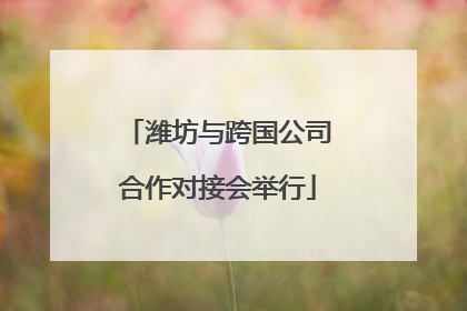 潍坊与跨国公司合作对接会举行