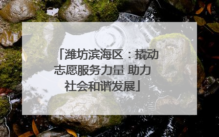 潍坊滨海区：撬动志愿服务力量 助力社会和谐发展