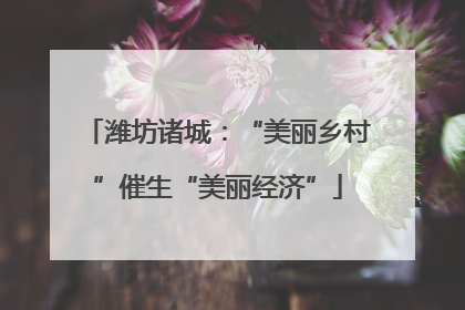 潍坊诸城：“美丽乡村”催生“美丽经济”