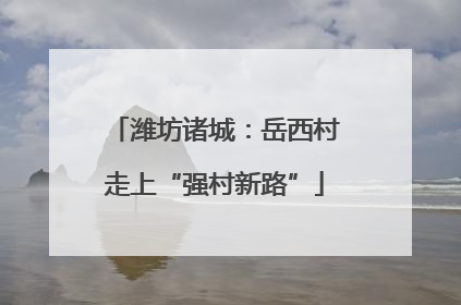 潍坊诸城：岳西村走上“强村新路”