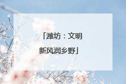 潍坊：文明新风润乡野
