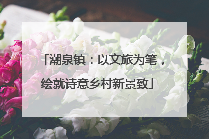 潮泉镇：以文旅为笔，绘就诗意乡村新景致