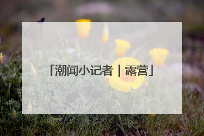 潮闻小记者｜露营