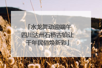 水龙舞动迎端午 四川达州石桥古镇让千年民俗焕新彩