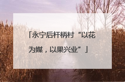 永宁后杆柄村“以花为媒，以果兴业”