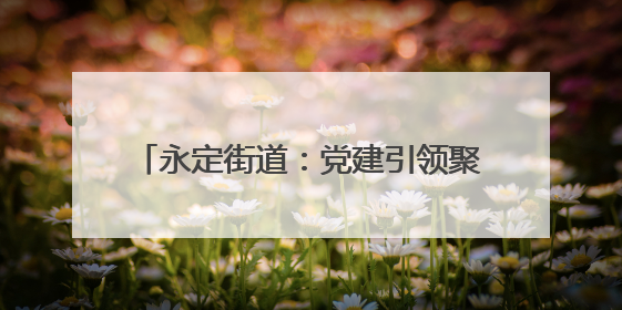 永定街道：党建引领聚合力，清淤排险护家园