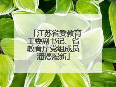 江苏省委教育工委副书记、省教育厅党组成员潘漫履新