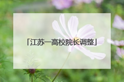 江苏一高校院长调整