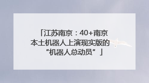 江苏南京：40+南京本土机器人上演现实版的“机器人总动员”