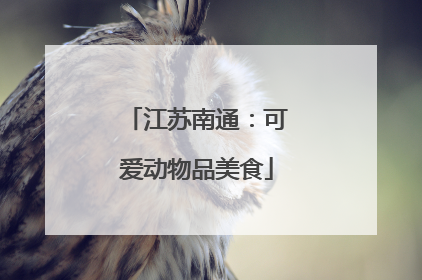 江苏南通：可爱动物品美食