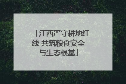 江西严守耕地红线 共筑粮食安全与生态根基