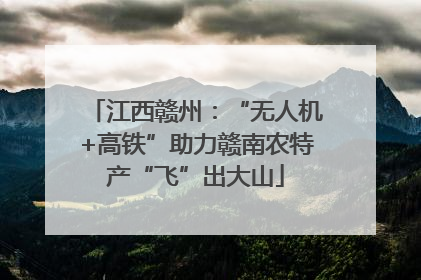 江西赣州：“无人机+高铁”助力赣南农特产“飞”出大山