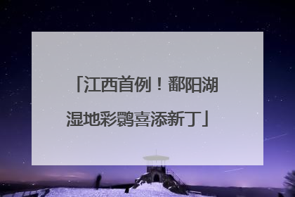 江西首例！鄱阳湖湿地彩鹮喜添新丁