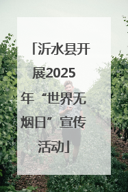 沂水县开展2025年“世界无烟日”宣传活动