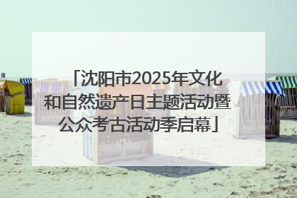 沈阳市2025年文化和自然遗产日主题活动暨公众考古活动季启幕