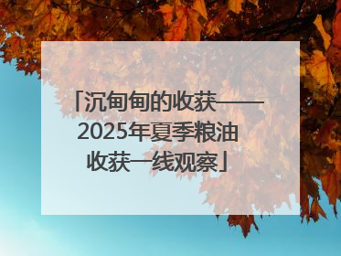 沉甸甸的收获——2025年夏季粮油收获一线观察