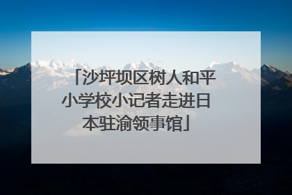 沙坪坝区树人和平小学校小记者走进日本驻渝领事馆