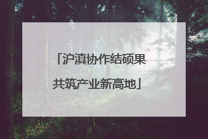 沪滇协作结硕果 共筑产业新高地