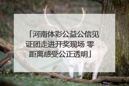 河南体彩公益公信见证团走进开奖现场 零距离感受公正透明