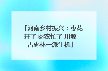 河南乡村振兴：枣花开了 枣农忙了 川塬古枣林一派生机