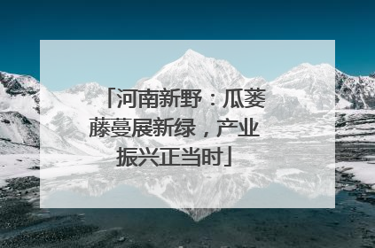 河南新野：瓜蒌藤蔓展新绿，产业振兴正当时