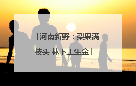 河南新野：梨果满枝头 林下土生金