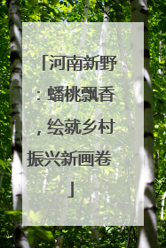 河南新野：蟠桃飘香，绘就乡村振兴新画卷