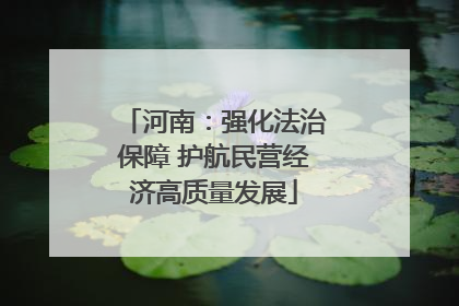 河南：强化法治保障 护航民营经济高质量发展